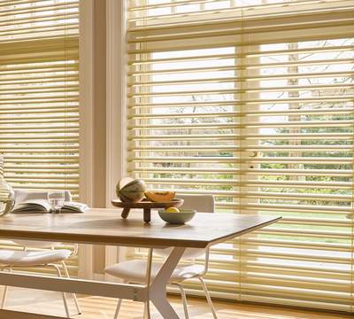 Luxaflex Venetian Blinds